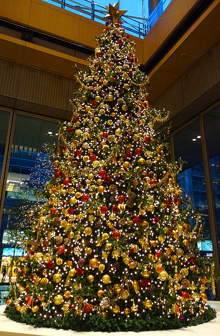 クリスマスツリー（丸ビル）２０１２