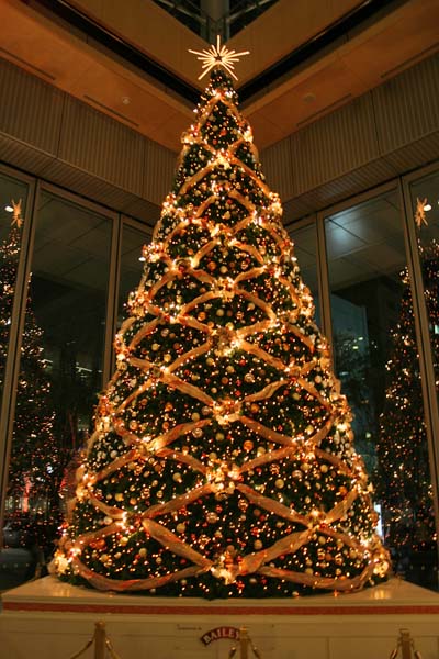 クリスマスツリー（丸ビル）２００５